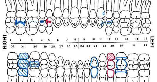 dental notation patient records
