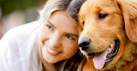 orthodontics straight teeth